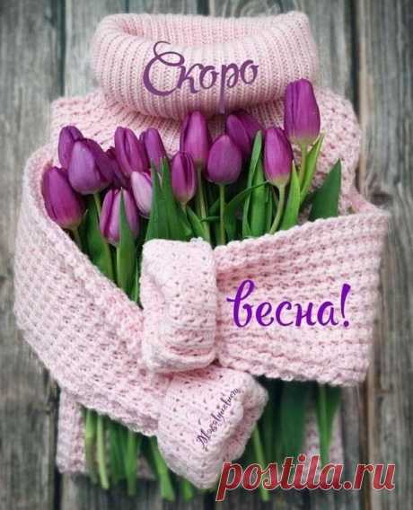 (20+) Facebook