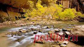 Nature Background - Lapa 3 no 53 - HD Wallpapers