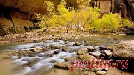 Nature Background - Lapa 3 no 53 - HD Wallpapers