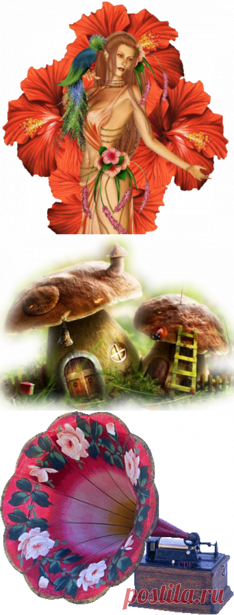 разной тематики, фото - 1164