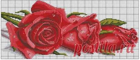 РОЗЫ