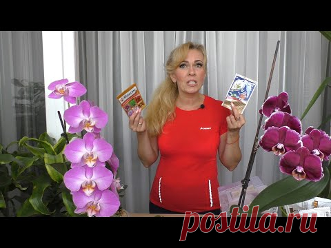 НЕ НАВРЕДИ! ПРЕПАРАТЫ для орхидей-когда НЕ НУЖНО их применять. Рекомендации на примере 12 препаратов