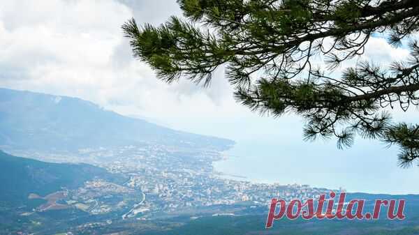 В Крыму указ Зеленского о территориях России назвали историческим бредом