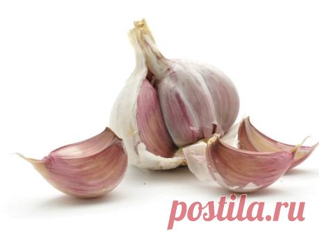 9 продуктов для повышения иммунитета
