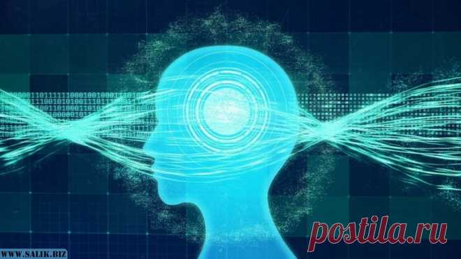 10 фактов о памяти, которые вы не знали