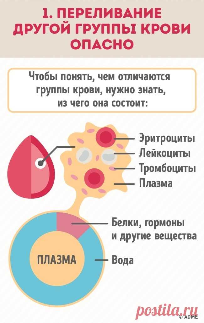 Зачем знать группу крови всех членов семьи