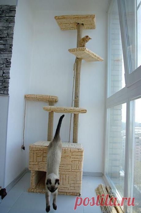 Как сделать дом для кошки своими руками. - Для животных