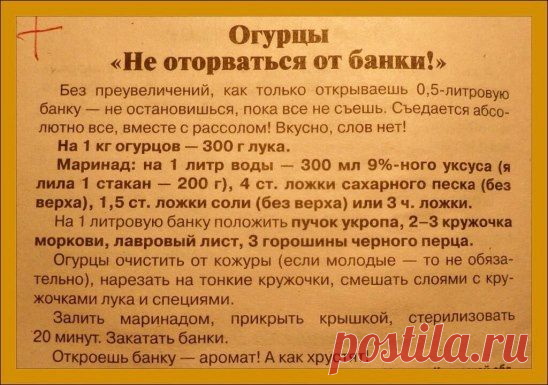 огурцы