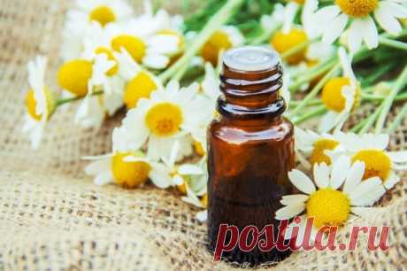 Экстракт ромашки, лечебные и косметические свойства