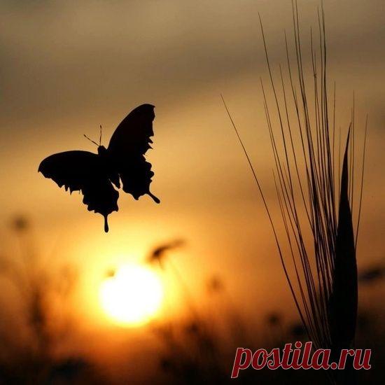 69 СПОСОБОВ УСИЛИТЬ ЖЕНСКУЮ ЭНЕРГИЮ