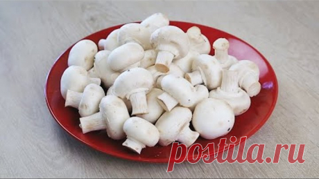 Один ВКУСНЕЕ другого! 5 рецептов с ГРИБАМИ! Даже МЯСА НЕ НУЖНО!