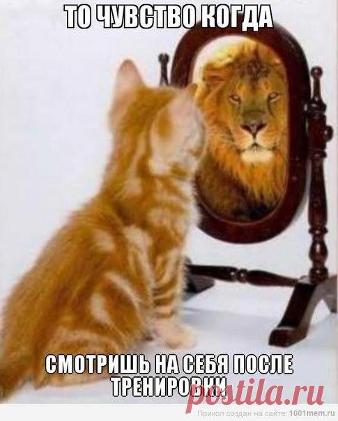 так часто бывает ...