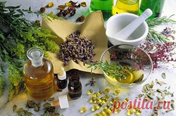 Природные антибиотики — Мегаздоров