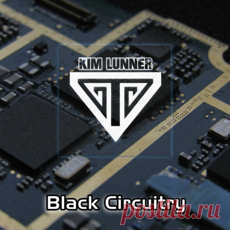 Kim Lunner - Black Circuitry (Single) (2025) 320kbps / FLAC