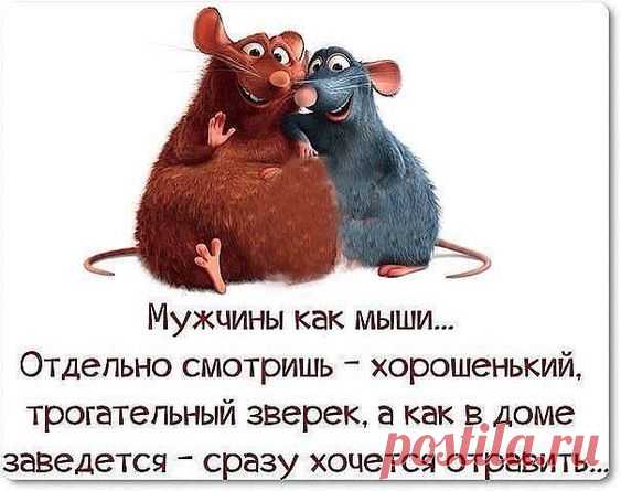 С добрым утром,дорогие мои!! Всем позитива и хорошего настроения))
