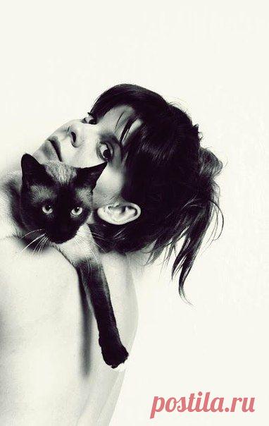 Такая разная музыка – Сообщество – Google+