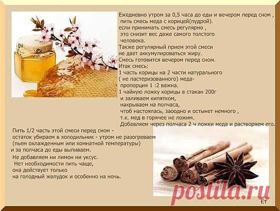Татьяна Соловьева
Россия, г. Кропоткин (г. Кропоткин)