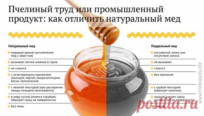 Как отличить настоящий мёд от подделки? 11 способов проверки