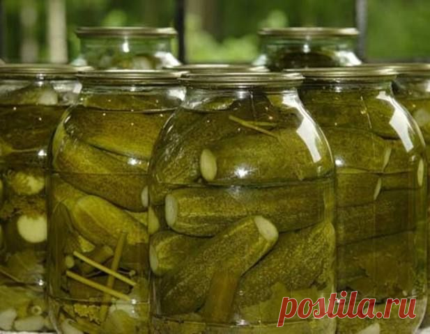 Маринование огурцов на зиму в банках