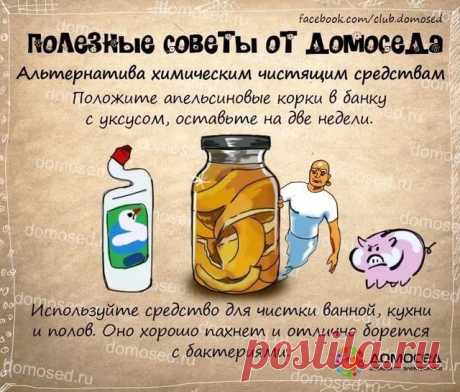 рецепты в картинках на все случаи жизни: 11 тыс изображений найдено в Яндекс.Картинках