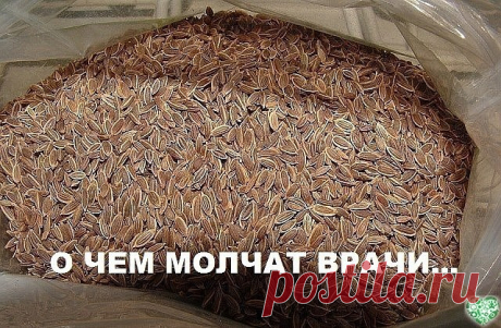 Чтобы забыть о давлении нужно взять горсть семян укропа. Через неделю будете здоровы!