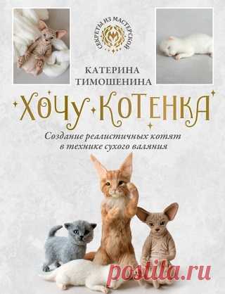 Хочу котенка. Создание реалистичных котят в технике сухого валяния 2024