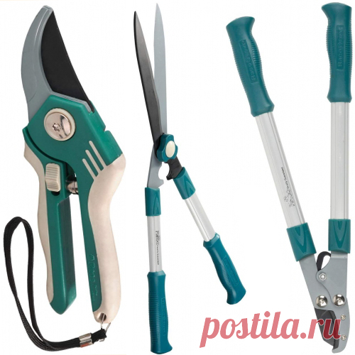 Flohouse | Полезная информация о растениях