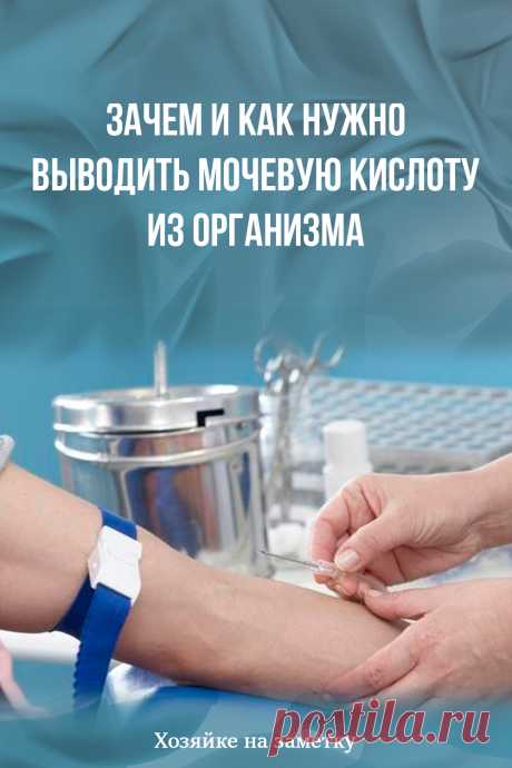 Зачем и как нужно выводить мочевую кислоту из организма