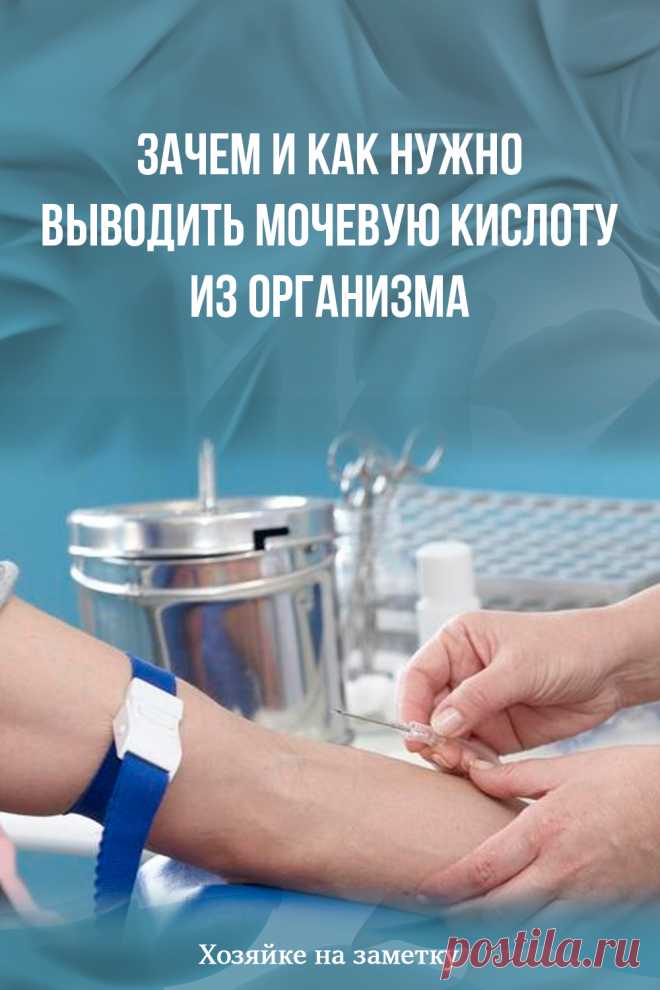 Зачем и как нужно выводить мочевую кислоту из организма