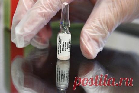 В России подсчитали процент иммунизации против кори. Охват иммунизации против кори в среднем по России превышает 95 процентов, рассказали в пресс-службе Роспотребнадзора. В ведомстве пояснили, что такой уровень охвата позволяет исключить риски эпидемии. А причиной осложнения ситуации с корью специалисты назвали недостаточный уровень иммунизации в отдельных регионах.