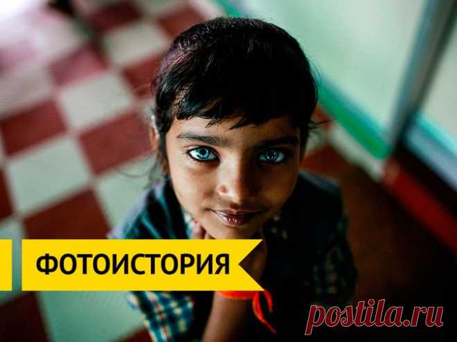 30 лет со дня Бхопальской катастрофы / Surfingbird - все, что интересно тебе