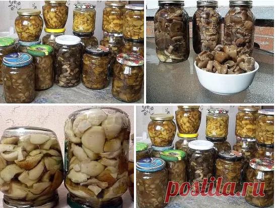 10 заготовок из ГРИБОВ на зиму