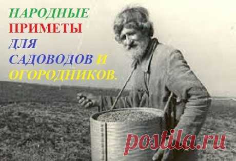 (22) Одноклассники