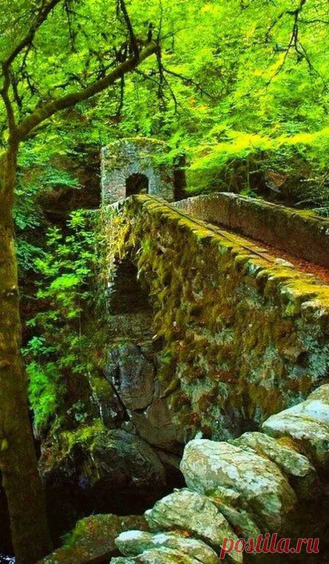 Шотландия - Google+