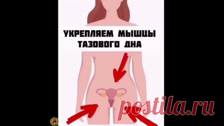 #Мое_здоровье#
Вот так можно укрепить мышцы тазового дна. Все упражнения очень простые. Результат поразит Вас.