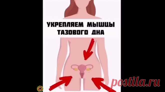 #Мое_здоровье#
Вот так можно укрепить мышцы тазового дна. Все упражнения очень простые. Результат поразит Вас.