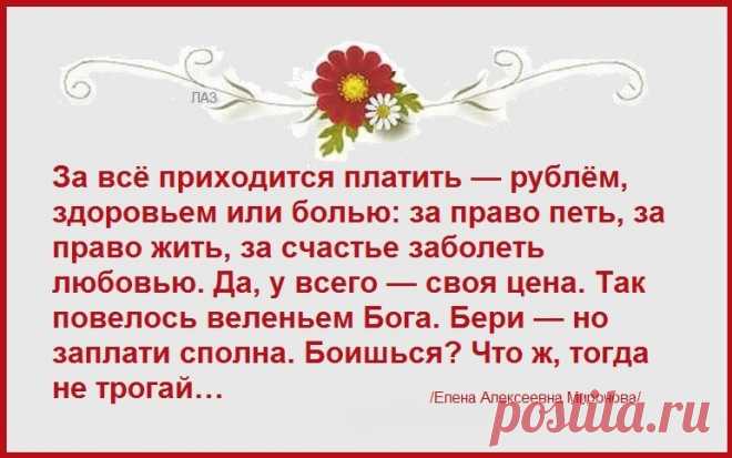 (14) Мой Мир@Mail.Ru