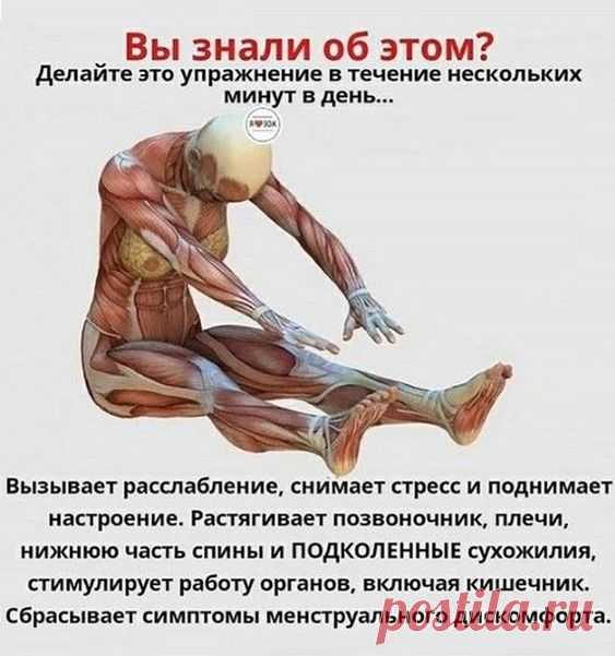 Поза йоги