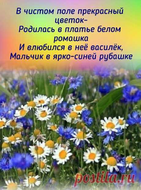 Красиво сказано.