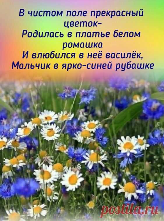 Красиво сказано.