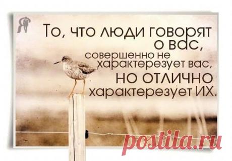 Фото Хроники - Лига Финансовых Консультантов