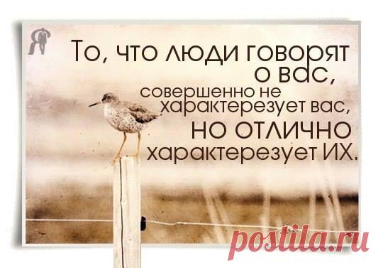 Фото Хроники - Лига Финансовых Консультантов