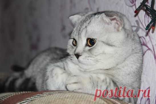 Мой самый лучший нарКОТИК))))