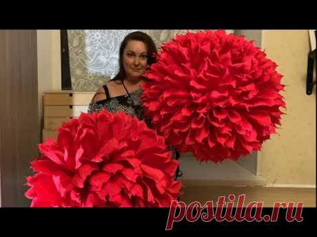 Огромные  цветы из гофрированной бумаги. Growth flowers from crepe paper