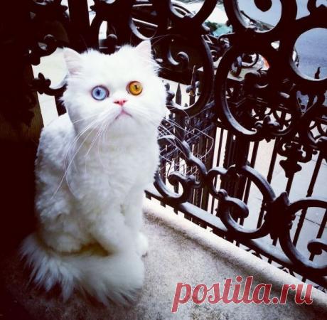 Нирвана | Обхохочешься