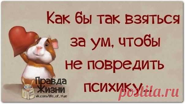 Новости