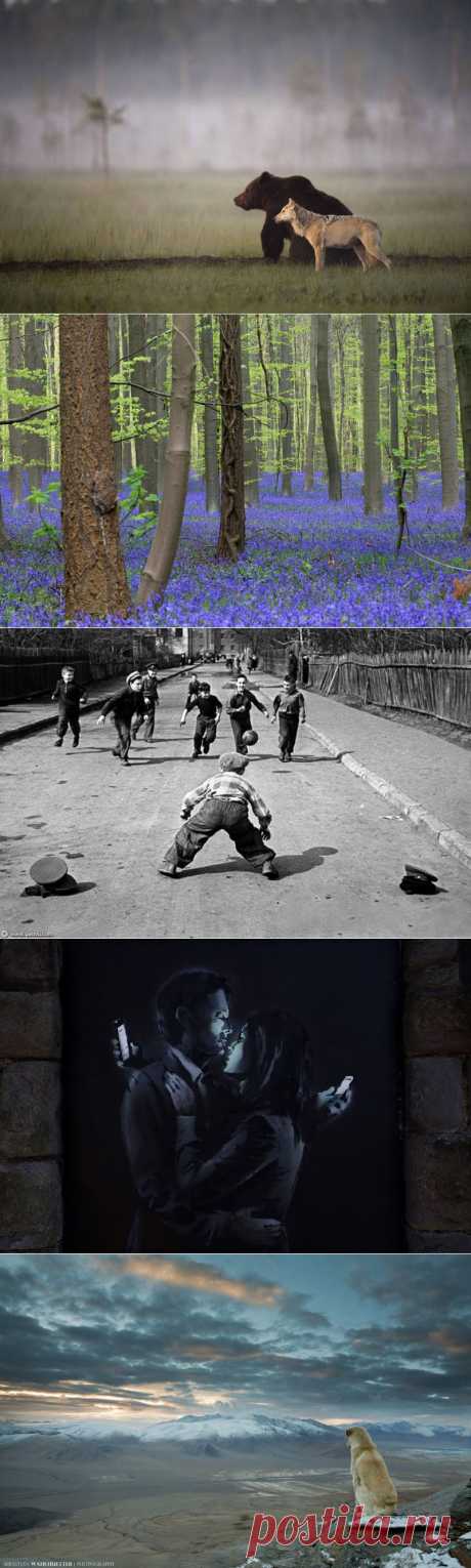 6 фотокарточек недели - в блоге Blogbaster.org