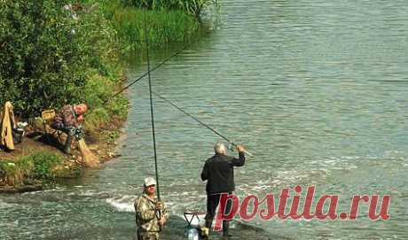Голавлёвая проводка