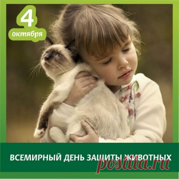 Жить нужно нам дружно на этой планете.
Земля — наша мать, а мы все — ее дети.
Животные — тоже ведь наша семья,
Они — братья меньшие, людям друзья. Открытки на День защиты животных.