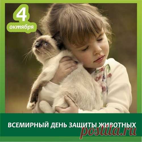 Жить нужно нам дружно на этой планете.
Земля — наша мать, а мы все — ее дети.
Животные — тоже ведь наша семья,
Они — братья меньшие, людям друзья. Открытки на День защиты животных.